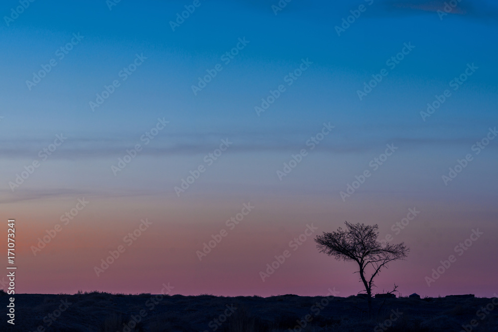 silhouettes of trees on hill with colorful sky on background 
