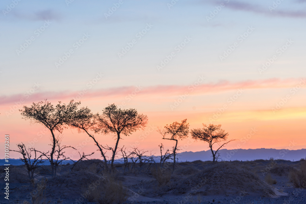 Obraz premium silhouettes of trees on hill with colorful sky on background 