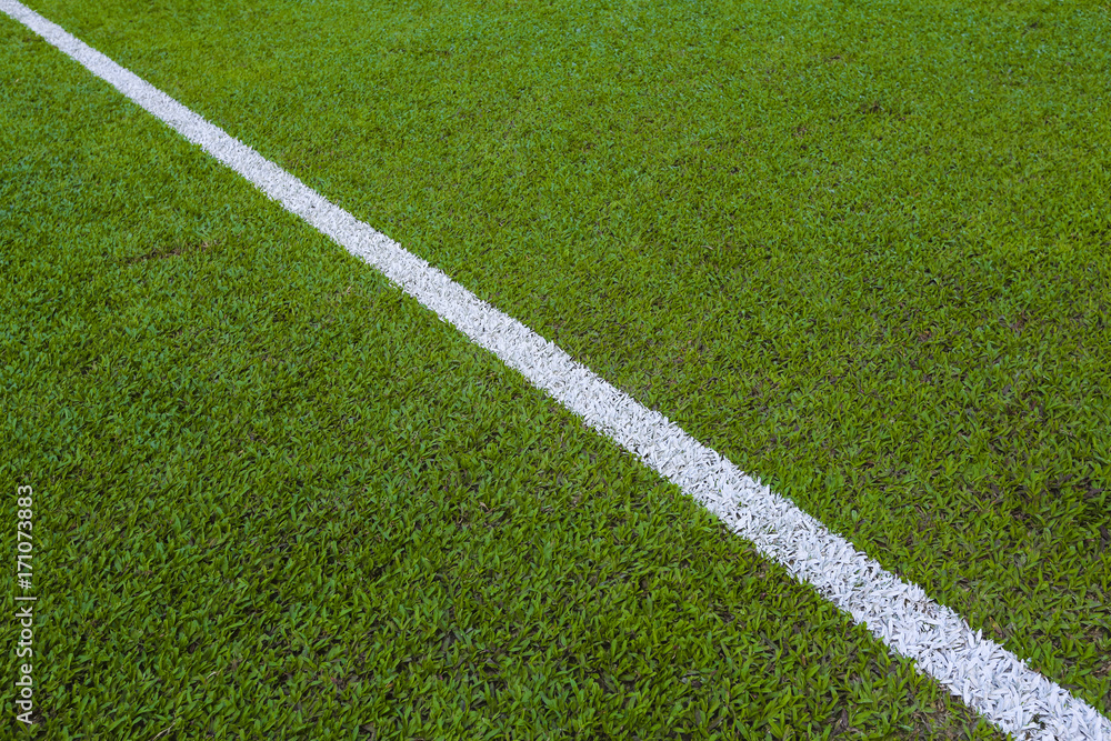 Green empty football / soccer field grass