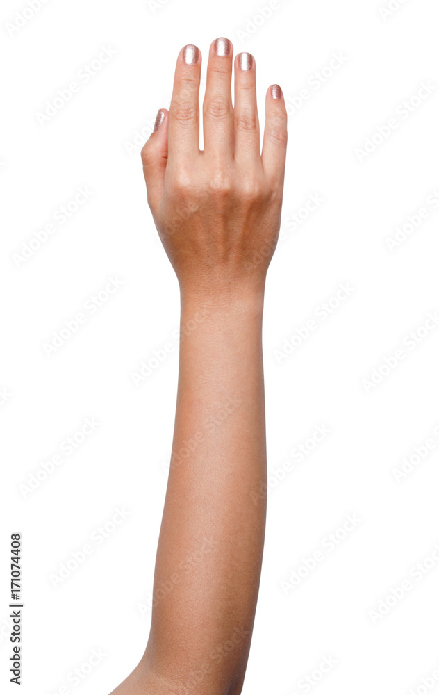 beautiful woman's hand isolated on white background beautiful woman's hand isolated on white background