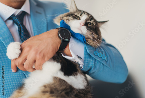 толстый кот на руках у жениха
