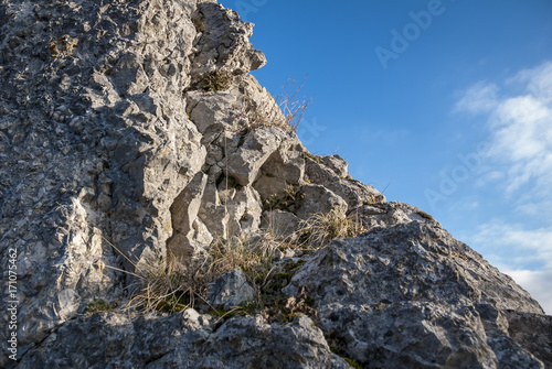 Mousse et roche, eperon rocheux du Château de Ferrette