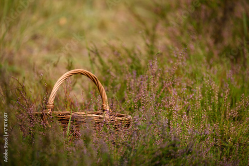 wooden woven basket in front of forest heather