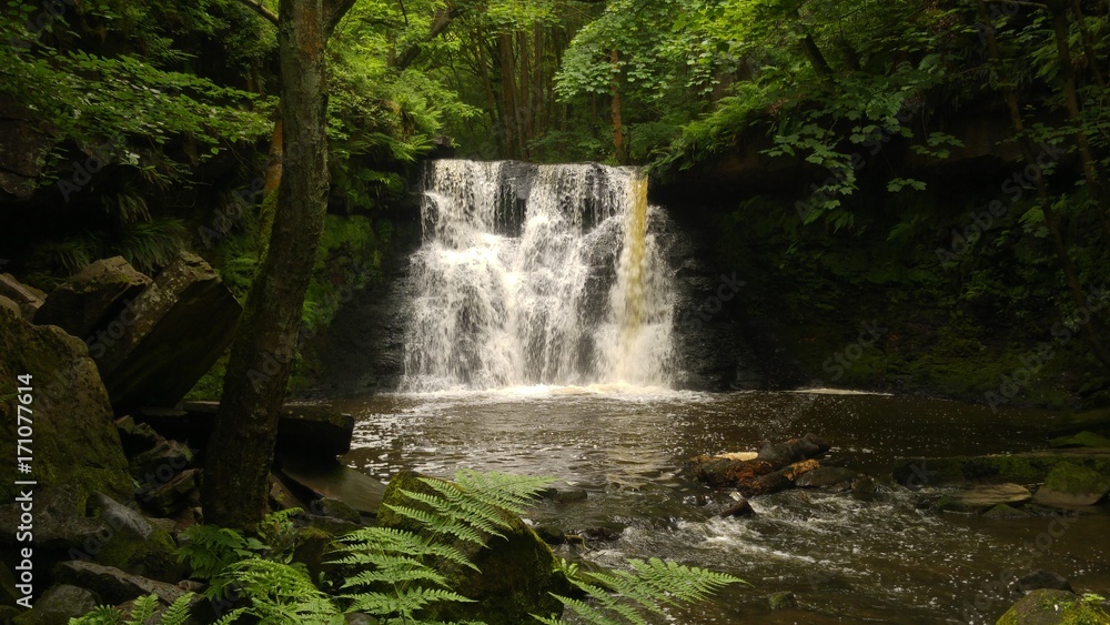Obraz premium Waterfall in Forest
