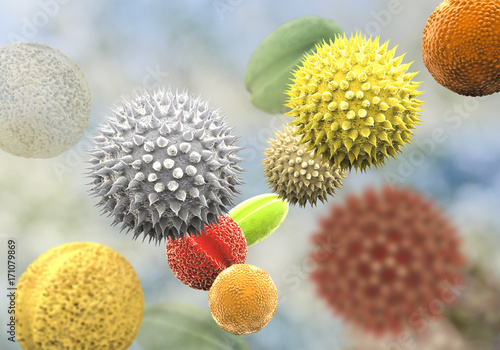 Pollen grains from different plants, 3D illustration. They are factors causing hay fever and allergic rhinitis photo