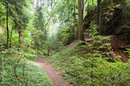 Fotografia Känzele