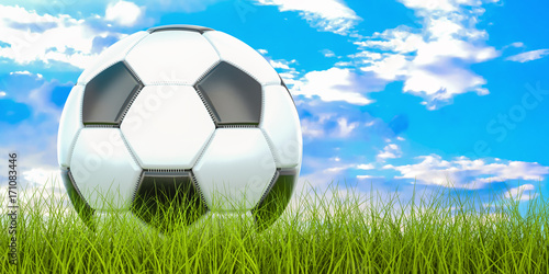 Soccer ball concept on the green grass  3D rendering
