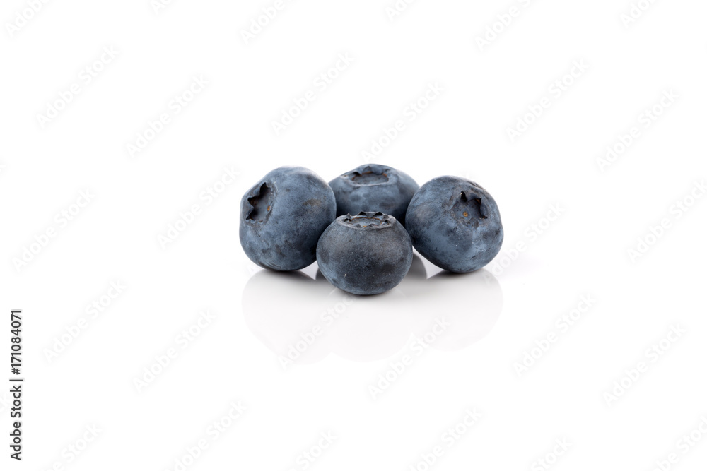 blueberries isolated close up blueberries isolated close up