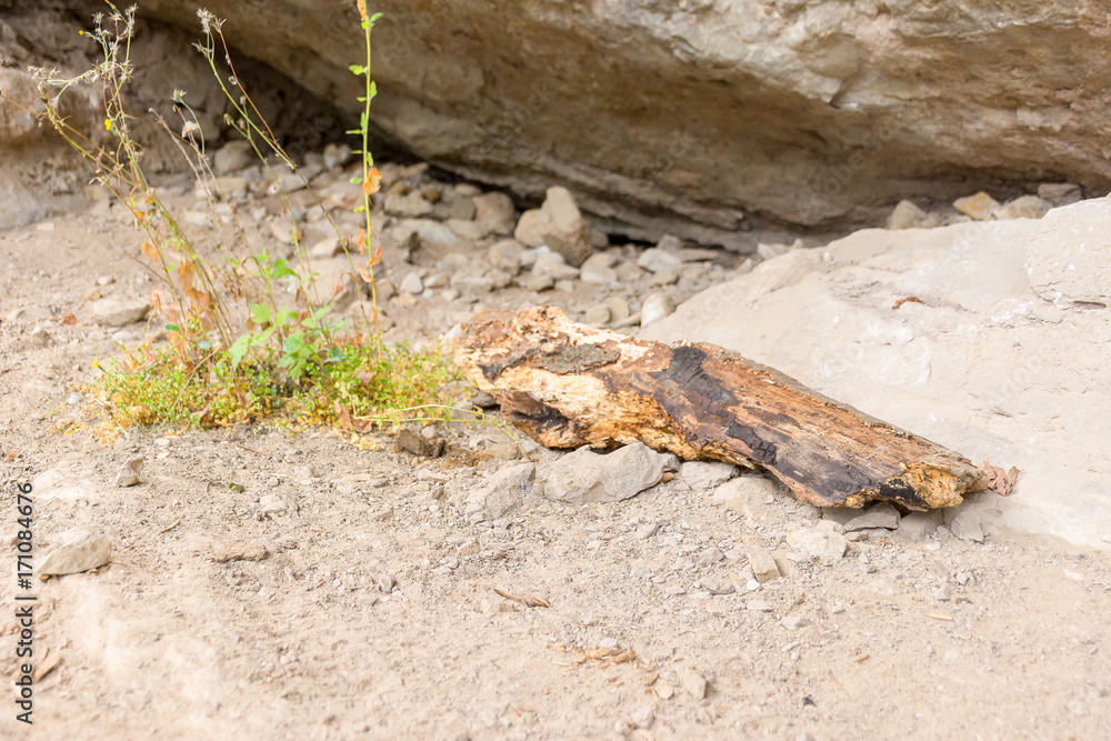 Obraz premium Känzele