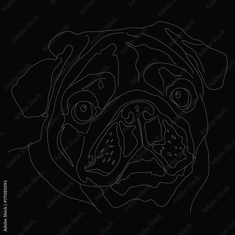 Pug dog face. Image portrait of a dog Pug. Vector illustration.