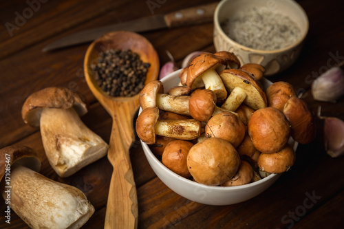 Ingredients for mushroom soup: fresh porcini mushrooms in plate, spices and salt on wooden rustic background