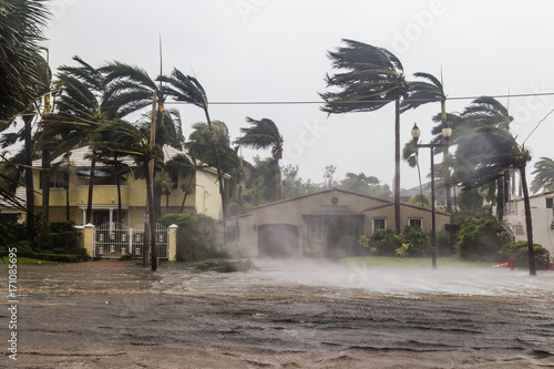Zalane Las Olas Blvd i palmy wiejące wiatry, katastrofalny huragan Irma.