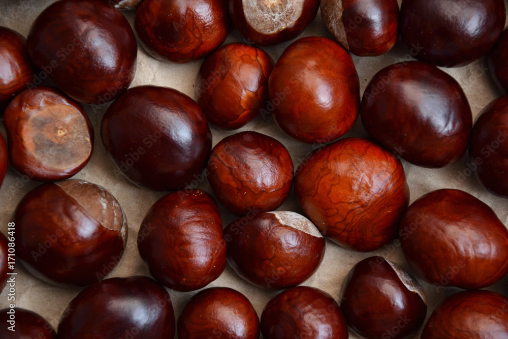 Chestnuts autumn background fall retro photo 3 Chestnuts autumn background fall retro photo 3