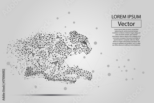 Abstract image of cheetah made of dots, points and mash lines on white background with an inscription. Business net speed vector illustration. Polygonal, geometry triangle. Low poly background. 