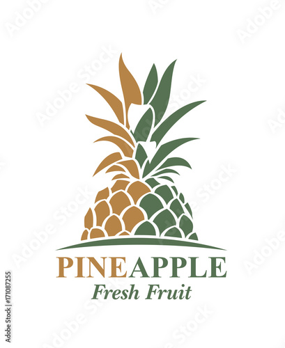 illustration of pineapple tropical fruit