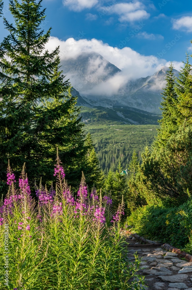 Fototapeta premium Tatra mountains, Poland landscape, tourist trail in Gasienicowa valley (Hala Gasienicowa), summer