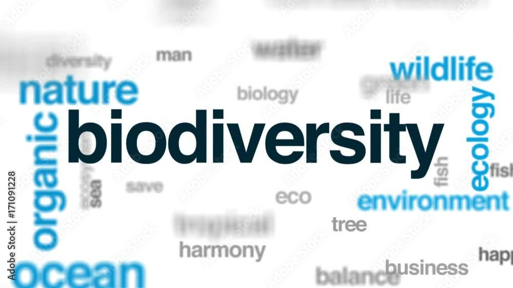Biodiversity animated word cloud, text design animation. Biodiversity animated word cloud, text design animation.