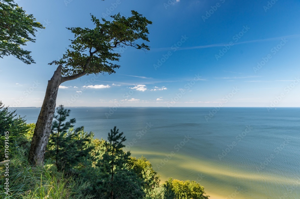 Sandy beach and cliffs on Baltic sea coast, Poland, Wolin island