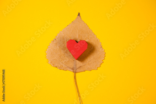 Autumn leaf with a red paper heart on a yellow background