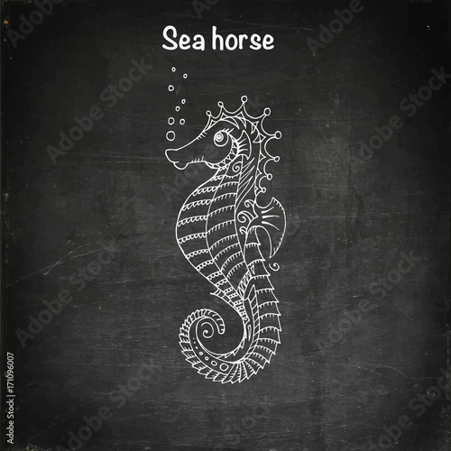 Cute sea horse cartoon