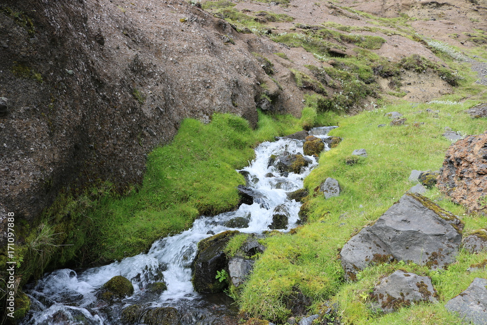 Iceland Stream flow down Countryside