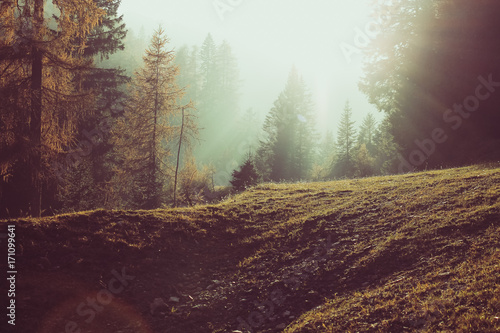 Wonderful natural landscape with hill and sun on the horizon setting background