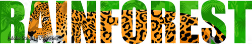 Vector tropical rainforest illustration with jaguar