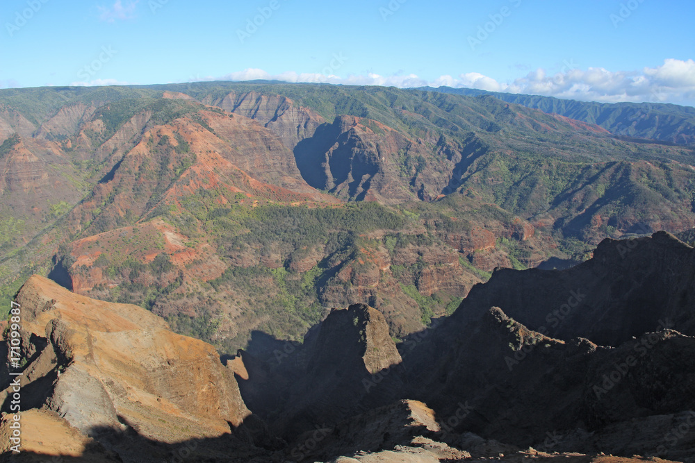 Hawaii Waimea Canyon lookout