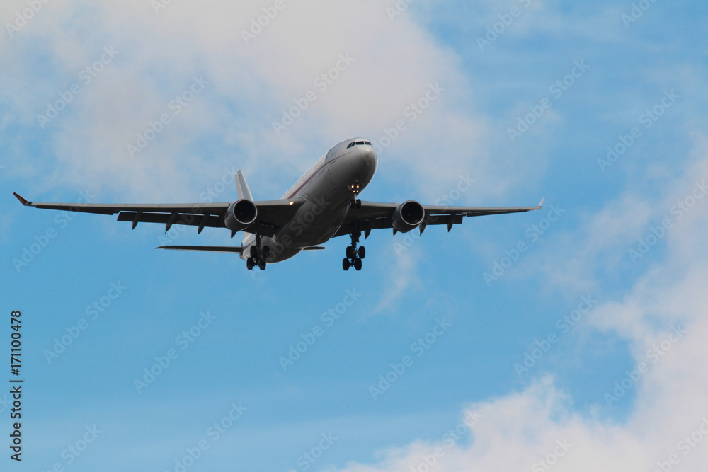 Obraz premium Atterrissage