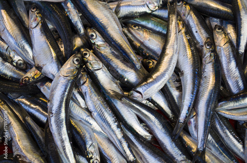 anchovies photo