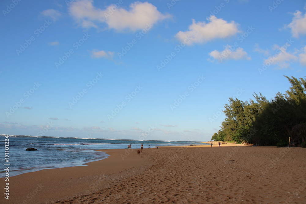 Obraz premium Hawaii Tunnels Beach