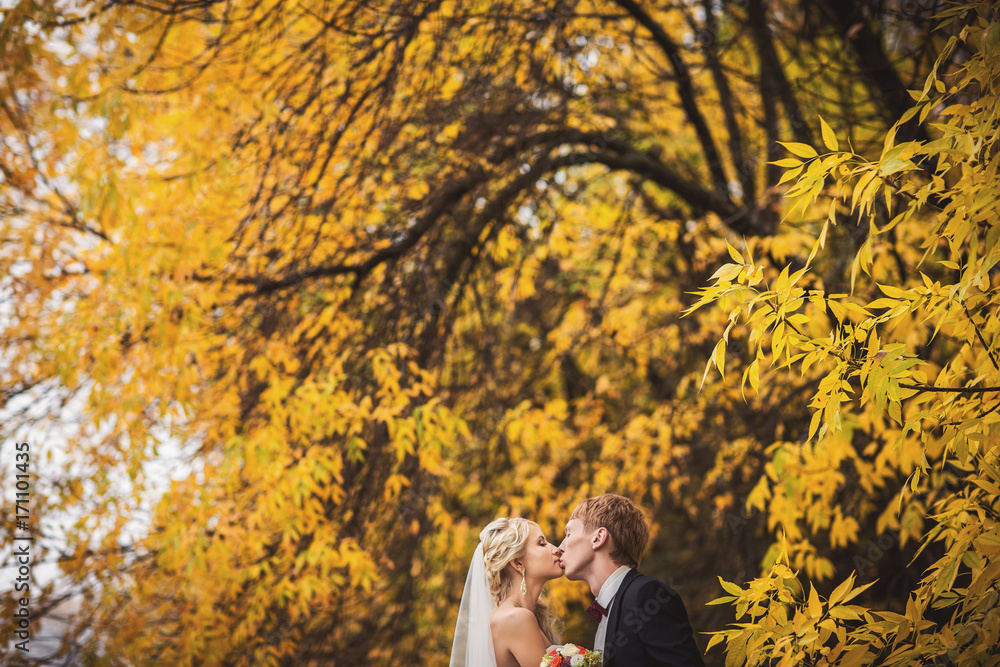 Wedding autumn. Bride and groom in autumn forest Wedding autumn. Bride and groom in autumn forest