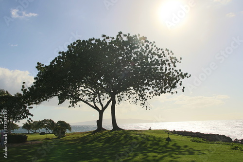 Hawaii Wailea
