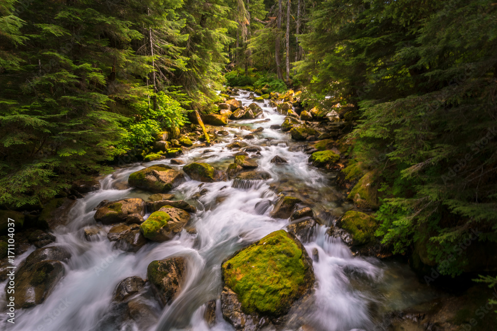 I rushing river flowing though the North Cascades National Park in Washington state