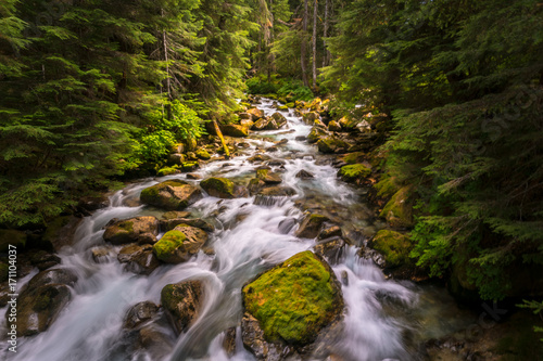 I rushing river flowing though the North Cascades National Park in Washington state