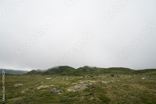 The Hardangervidda Mountain Area