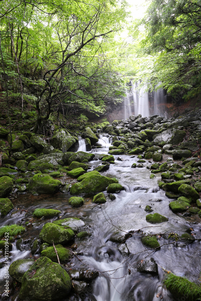 Obraz premium 那須塩原市 乙女の滝