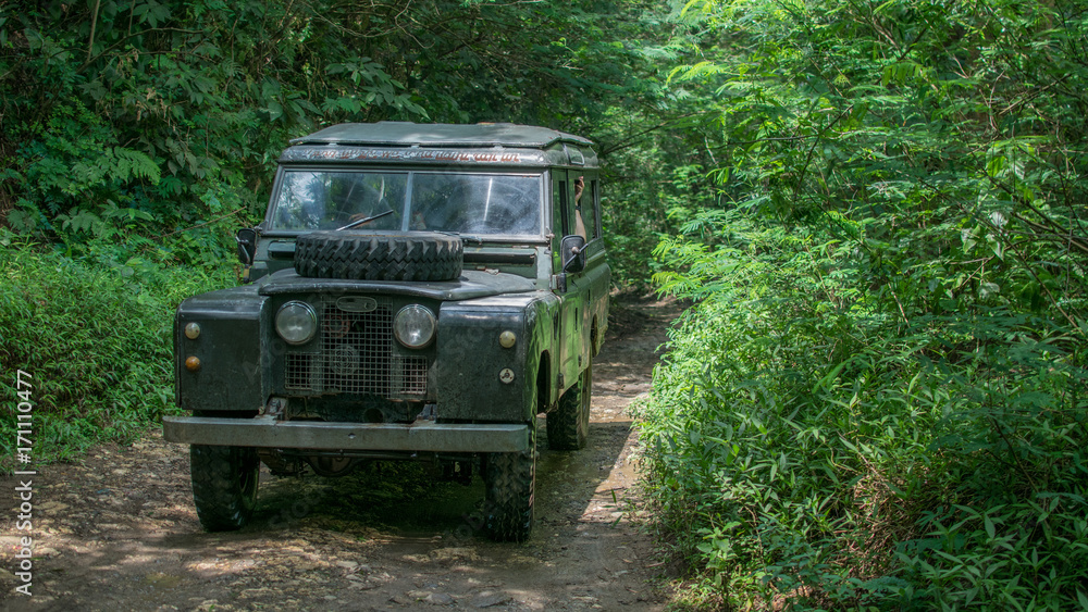 4x4 vehicle in the middle of the forest