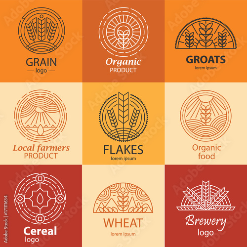 Line grain, groats, cereal logo and signs set. Local farmers pro