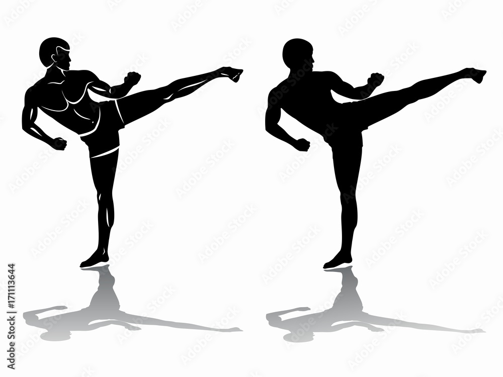 silhouette of a kickboxer, vector draw