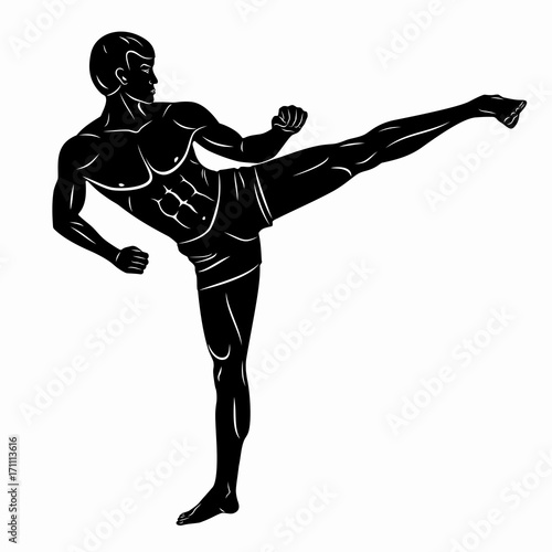 illustration of a kickboxer, vector draw