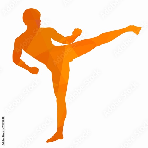 illustration of a kickboxer, vector draw
