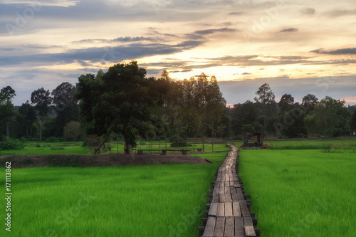 Wooden bridge 100 years old  Khok grachai  Khon Buri in Nakhon Ratchasima at Thailand.