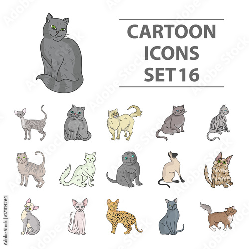 Cat breeds set icons in cartoon style. Big collection of cat breeds vector symbol stock illustration