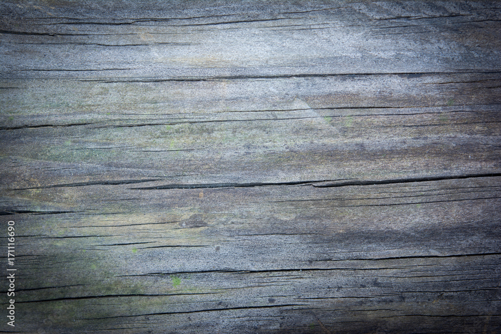 Fototapeta premium wood texture.image