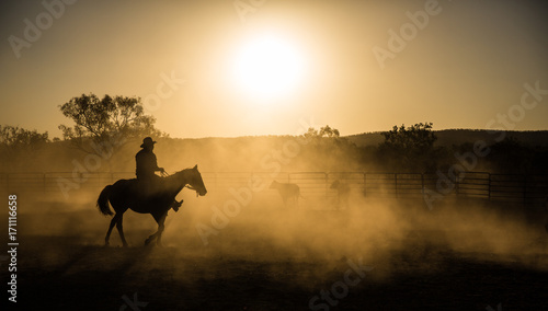 mustering, Kimberley, Western Australia © Janelle