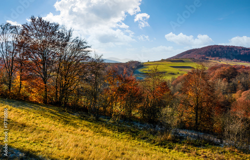 late autumn countryside landscape. forest with red foliage on a beautiful sunny day in mountainous rural area