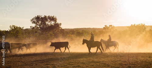 Mustering, Kimberley, Western Australia