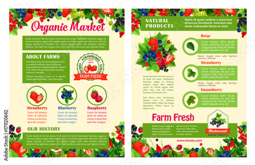 Fruit and berry organic market posters