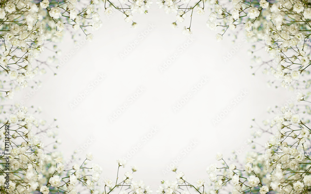 Fototapeta premium Białe kwiaty tło